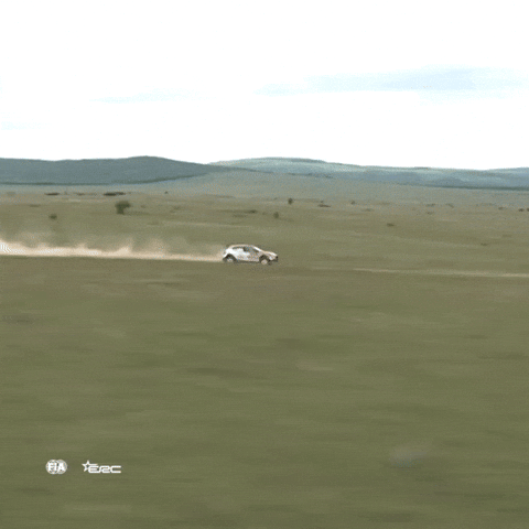 Problem Fail GIF by FIA European Rally Championship