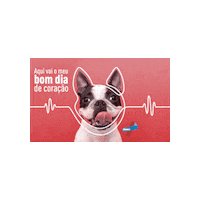 Dog Pet Sticker by Elanco Brasil