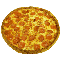 terrapizzacom pizza terrapizzacom Sticker