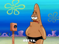 season 6 GIF by SpongeBob SquarePants