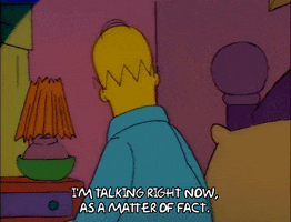 Season 1 GIF by The Simpsons