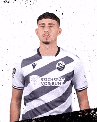 3Liga Wirechtanders GIF by SV Sandhausen