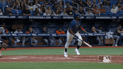 Rays Up Mlb Regular Season GIF by MLB