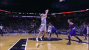 Diana Taurasi Basketball GIF by WNBA