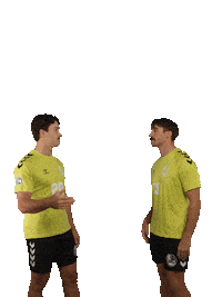 Heliosgrizzlys Giesen Sticker by Volleyball Bundesliga