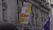 GIF by The Guardian