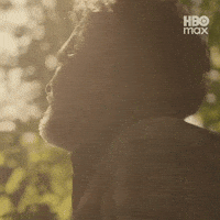Mark Ruffalo Task GIF by HBO Max