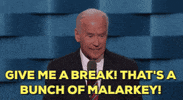 democratic national convention dnc GIF by Election 2016
