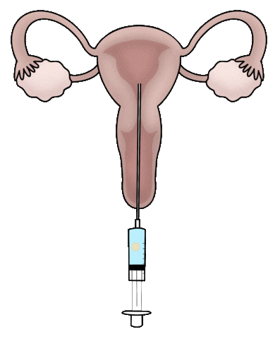 Uterus Fertility Sticker