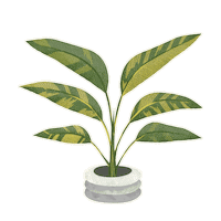 Houseplant Strelitzia Sticker