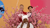 Happy Peter Rabbit GIF by The Wiggles