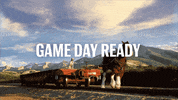GIF by Budweiser