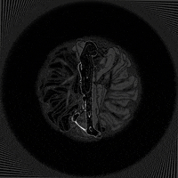 Loop Thinking GIF