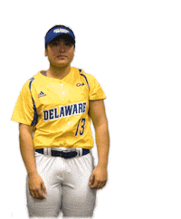 College Sports Fun Sticker by Delaware Blue Hens