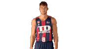Liga Endesa Basketball Sticker by ACB