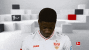 Line Up Smile GIF by Bundesliga