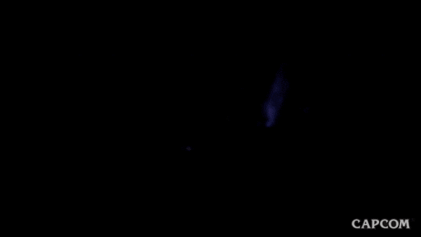 Monster Hunter Night GIF by CAPCOM