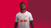 Click Here Red Bull GIF by RB Leipzig
