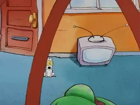 Rockos Modern Life Nicksplat GIF by NickRewind