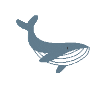 Ocean Sea Sticker by MORI