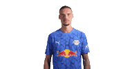 Red Bull Parade Sticker by RB Leipzig