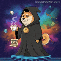 Shiba Inu Mood GIF by Doge Pound