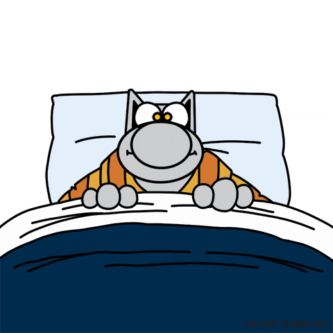 geluck sleepy good night sweet dreams bedtime GIF