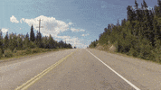 GIF by WOMAN