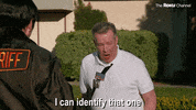 Reno 911 GIF by The Roku Channel