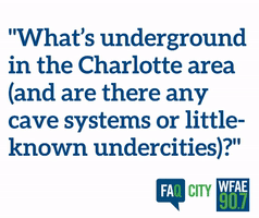 charlotte faq city GIF by WFAE 90.7 (Charlotte's NPR News Source)