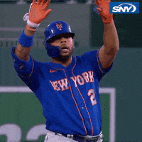 New York Mets Baseball GIF by SNY