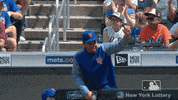 hang loose ny mets GIF by New York Mets