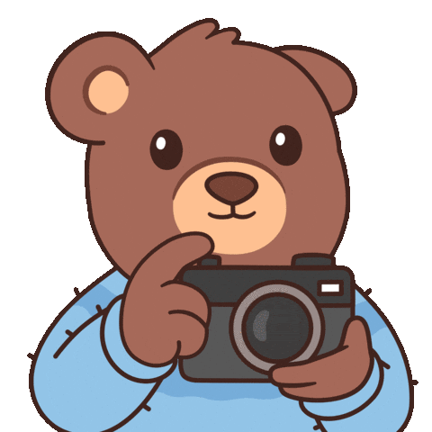 Photography Smile Sticker by BEARISH