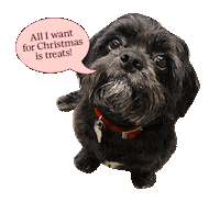 Dog Christmas Sticker by Zappos
