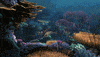 finding dory disney GIF by Disney/Pixar's Finding Dory
