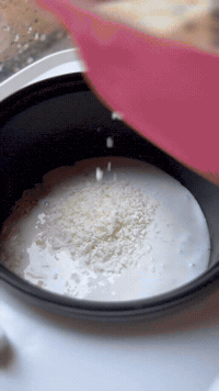 Mango Sticky Rice At Home | Rice Robot