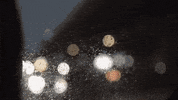 travel skate GIF by EchoBoom Sports