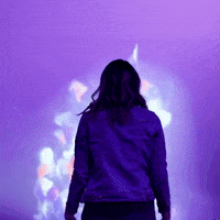 Flowers Blooming GIF by Moment Factory