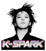 Kspark Sticker