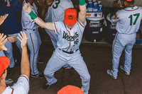 Baseball Mlb GIF by Down East Wood Ducks