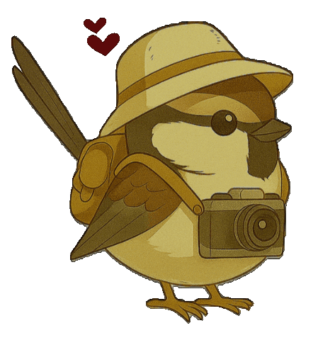 Bird Vogel Sticker by mahoniemoni