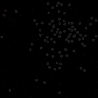 lorenaknnot party celebrate fiesta confetti GIF