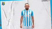Football Tor GIF by ChemnitzerFC