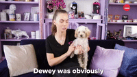 Dewey Gets A Makeover