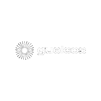 guelcos asia import guelcos Sticker