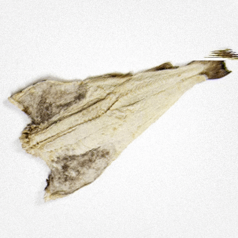 alexandramourabrand giphygifmaker alexandramoura GIF