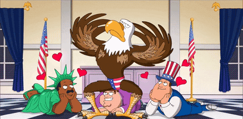 Fox America GIF by Family Guy