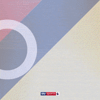 Goal Epl GIF by skysports