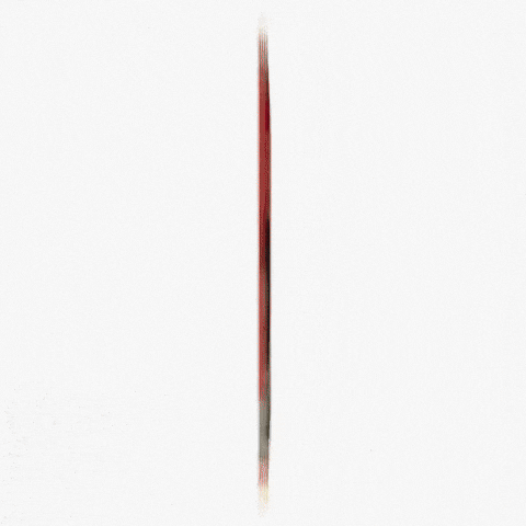 Photographer Lollapalooza GIF by Respective