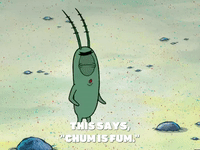 season 6 episode 22 GIF by SpongeBob SquarePants